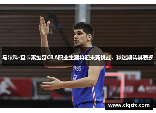 马尔科-查卡莱维奇CBA职业生涯将迎来新挑战，球迷期待其表现